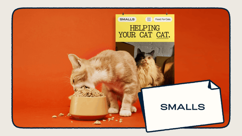 Read article: How Smalls Uses Bitly QR Codes and Short Links to Connect with Cat Care Enthusiasts